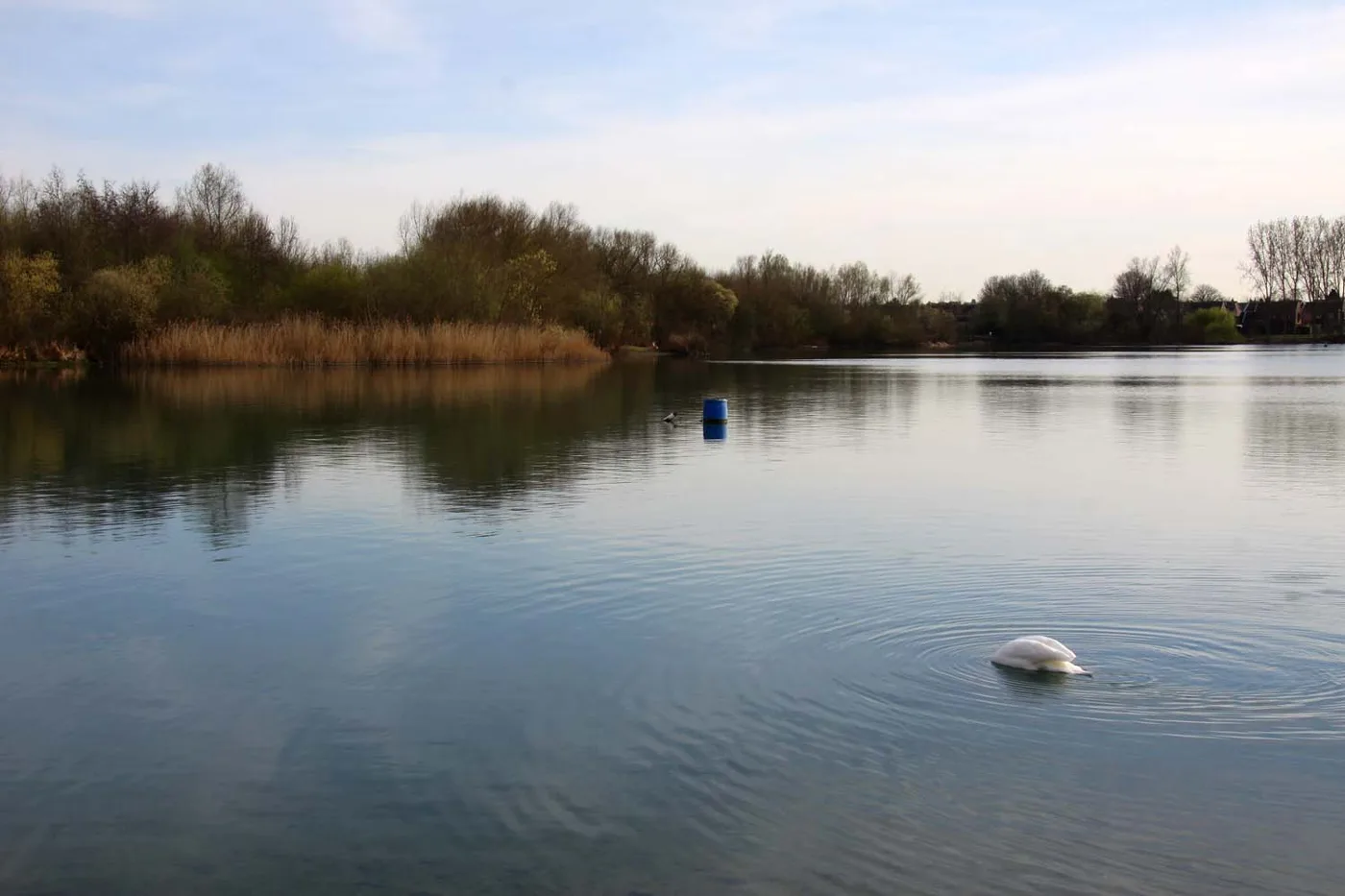 Bray Lake, Maidenhead. Thames Hospice's 28-bed inpatient unit stands beside the lake on Windsor Road.