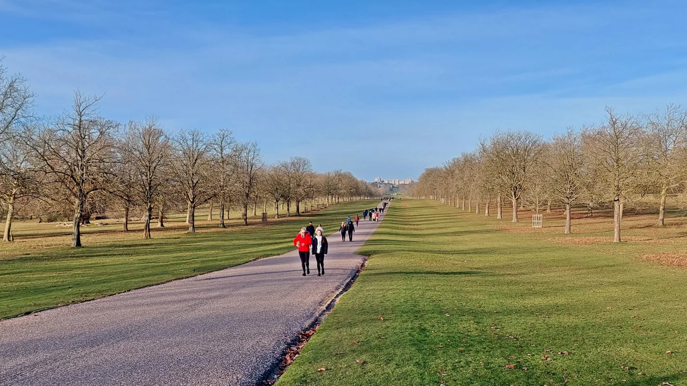 The Long Walk, Windsor Great Park, with the castle on the horizon. The race starts and finishes here, and the last mile and a half is this straight.